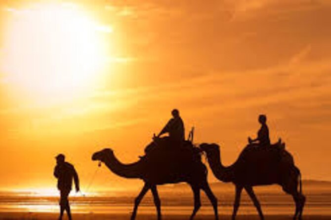 Agadir Dune Quad Bike and Sunset Camel Ride Adventure - Activity Inclusions and Options