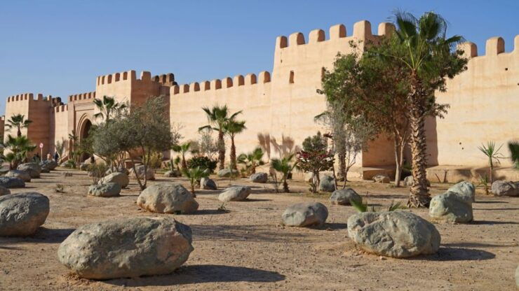 Agadir Excursion to Taroudant Oissis Tiout With Lunch - Activity Details