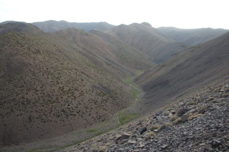 Agadir Excursion to Taroudant Oissis Tiout With Lunch - Activity Details