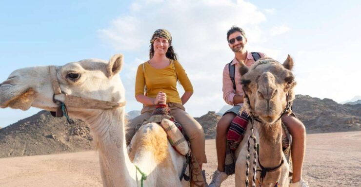 Agadir: Flamingo River Camel Ride With Optional BBQ Dinner - Experience Highlights