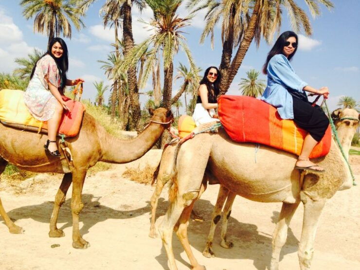 Agadir: Flamingo River Sunset Camel Ride With BBQ Diner - Activity Details