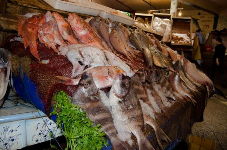 Agadir Food Tour - Experience Highlights
