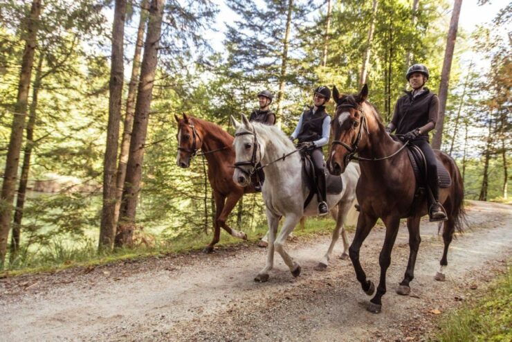 Agadir: Forest and Sand Dunes Guided Horse Riding Tour - Activity Details