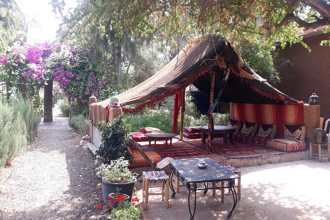 Agadir Full-Day Atlas Mountains and Atlantic Sahara Tour - Itinerary Highlights