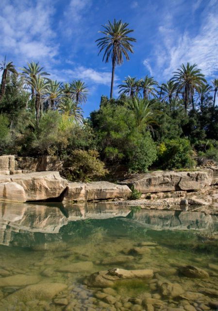 Agadir: Goat on Trees & Crocodile Park Including Hotelpickup - Activity Details