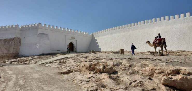 Agadir Guided City Tour Including Cable Car & Polizzi Medina - Tour Overview