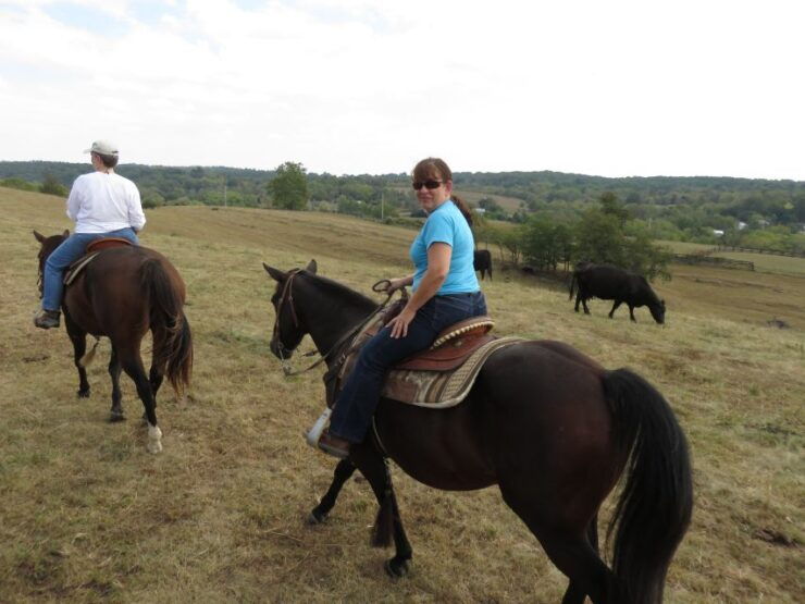 Agadir: Guided Horse Riding Along Flamingo River With Tea - Booking Details