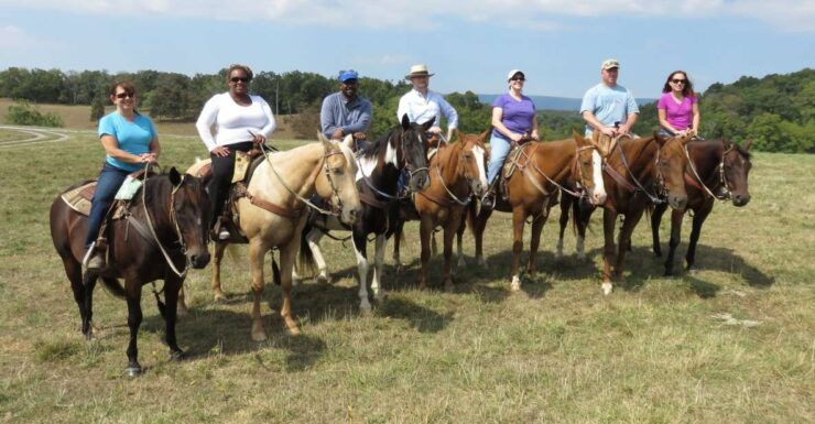 Agadir: Guided Horse Riding Along Flamingo River With Tea - Experience Highlights