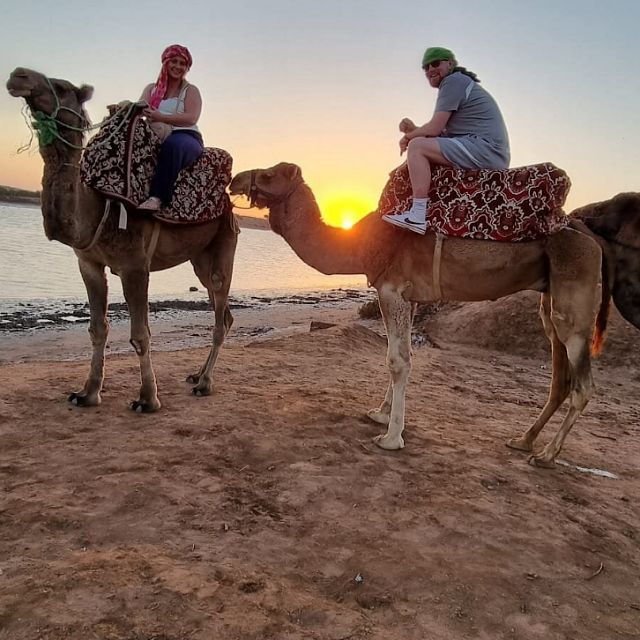 Agadir Guided Tour Camel Ride Flamingo River & With Tea - Tour Highlights
