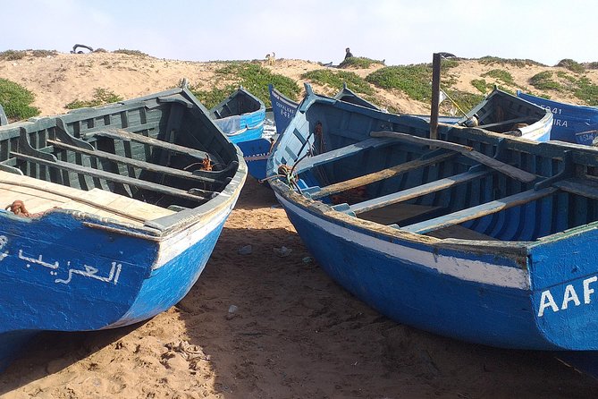 Agadir Half Day Private Tour to Sahara and Tifnit - Tour Overview and Logistics