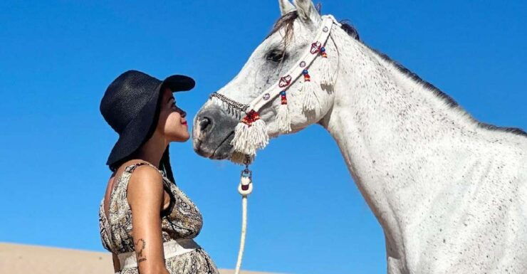 Agadir: Horse Ride in Flamingo Souss River - Activity Information