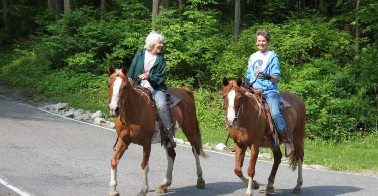 Agadir Horse Riding Visite the Flamingo River With Tea Drink - Booking Details
