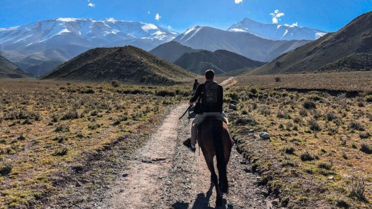 Agadir Horse Riding Visite the Flamingo River With Tea Drink - Experience Description