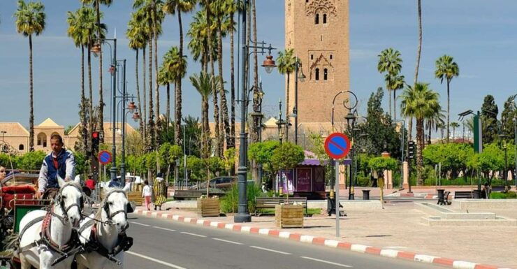 Agadir: Marrakech Day Trips With Professional Guide - Good To Know