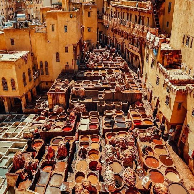 Agadir: Marrakech Day Trips With Professional Guide - Highlights of the Trip