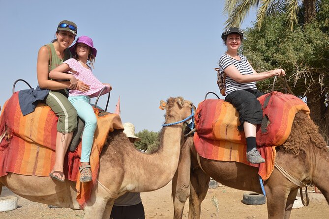 Agadir & Medina City Tour, Crocodile Park & Camel Ride - Medina City Tour
