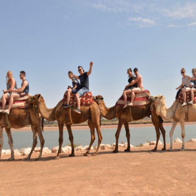 Agadir Morocco - Camel Riding Tours With Tea - Booking Details for Camel Riding Tour