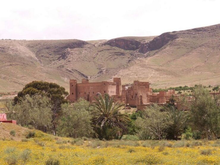 Agadir or Taghazout: 2-Day Zagora Desert Guided Tour - Experience Highlights