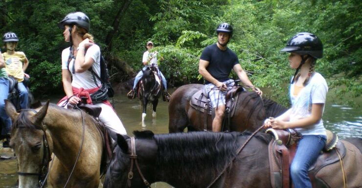 Agadir or Taghazout : Beach and Ranch Horse Riding Tour - Experience Highlights