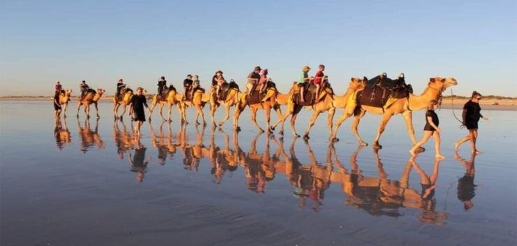 Agadir or Taghazout : Camel or Hourse Riding With Barbecue - Booking Information