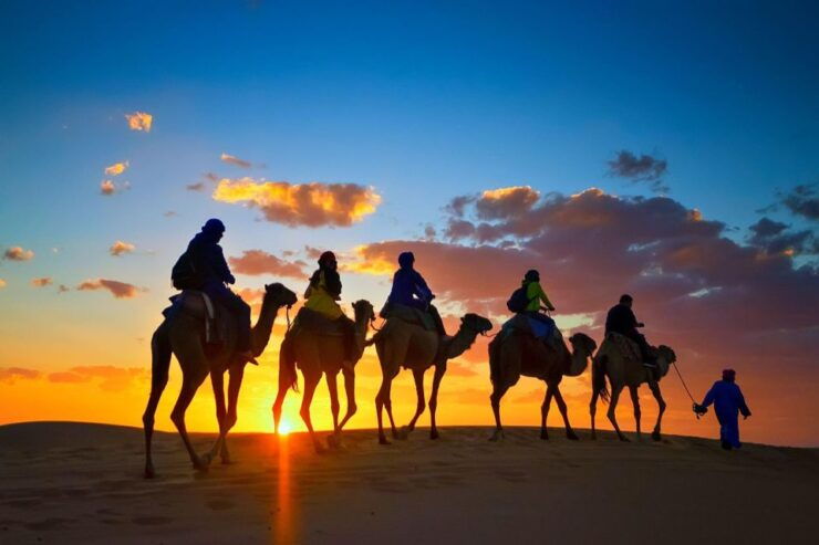 Agadir or Taghazout: Camel Ride Experience in River or Beach - Booking and Logistics