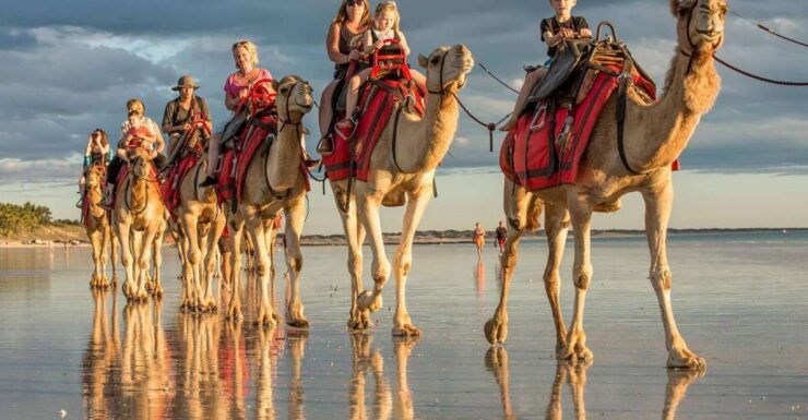 Agadir or Taghazout: Camel Ride Experience in River or Beach - Experience and Activities