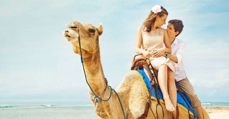 Agadir or Taghazout: Camel Ride Experience - Detailed Description