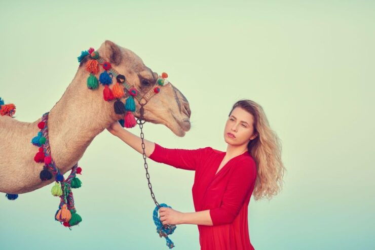 Agadir or Taghazout: Camel Riding and Flamingo River Tour - Activity Details