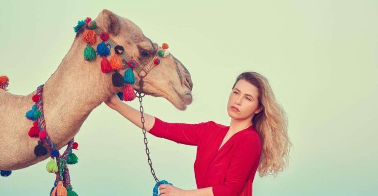 Agadir or Taghazout: Camel Riding and Flamingo River Tour - Experience Highlights