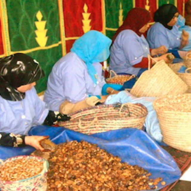 Agadir or Taghazout City Tour With Lunch BBQ & Couscous - Pickup and Drop-off Details