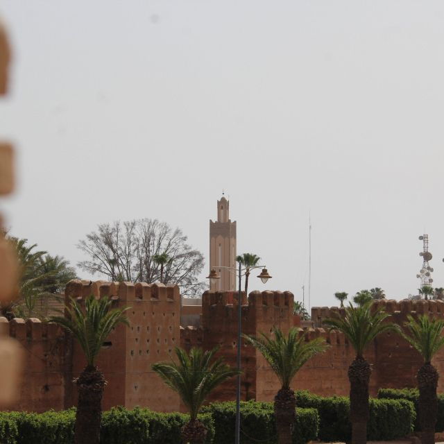 Agadir or Taghazout : Day Trip To Taroudant & Tiout Oasis - Booking Details