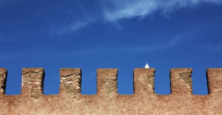 Agadir or Taghazout: Essaouira Guided Day Trip - Experience Highlights