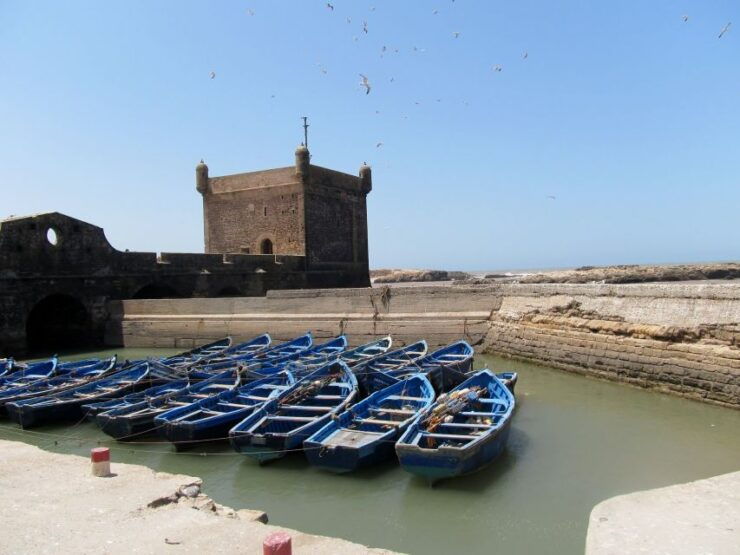 Agadir or Taghazout Essaouira Old City Day Trip With Guide - Activity Information