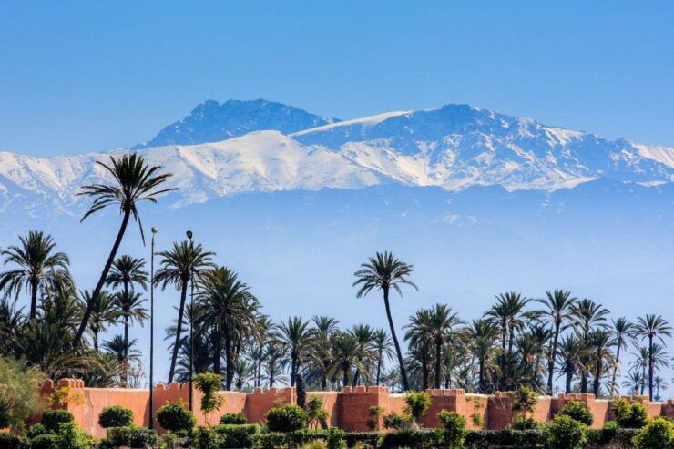 Agadir or Taghazout: Marrakech Trip With Licensed Tour Guide - Activity Details