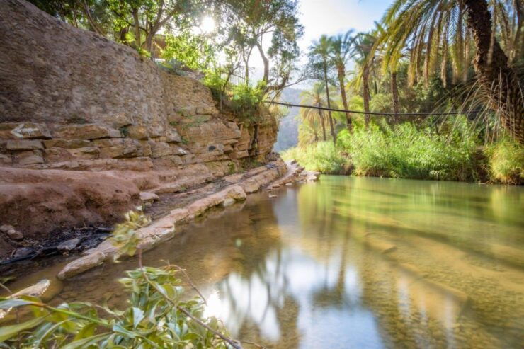 Agadir or Taghazout: Paradise Valley Atlas Mountain & Lunch - Activity Details
