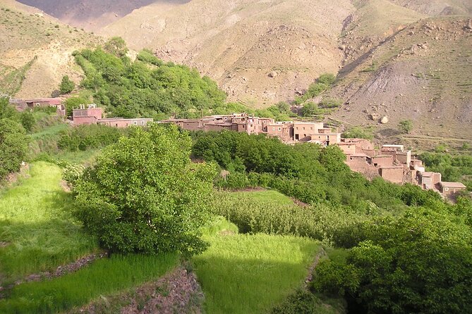 Agadir or Taghazout: Paradise Valley Atlas Mountain Swimming Trip - Atlas Mountain Exploration