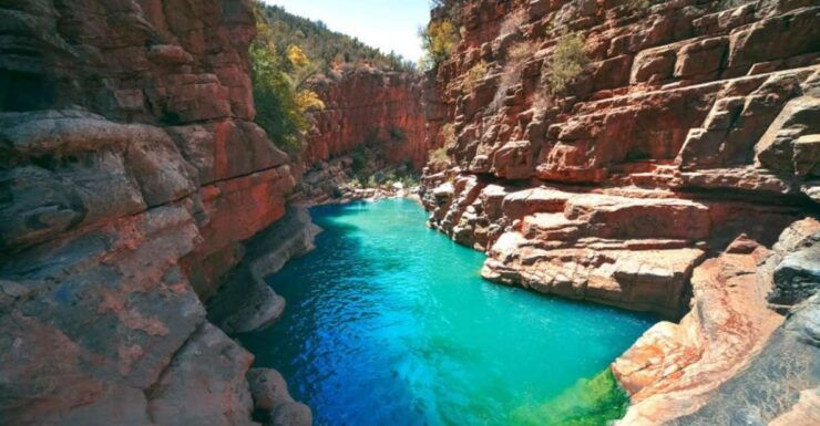 Agadir or Taghazout: Paradise Valley Tour With Guide & Lunch - Tour Details