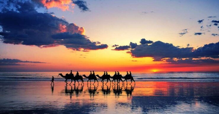 Agadir or Taghazout: Sunset Camel Ride in the Beach or River - Experience Highlights