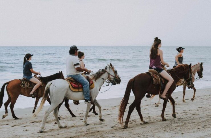 Agadir or Taghazout: Sunset Horse Riding - Activity Details
