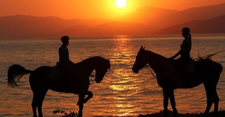 Agadir or Taghazout: Sunset Horse Riding - Experience Highlights