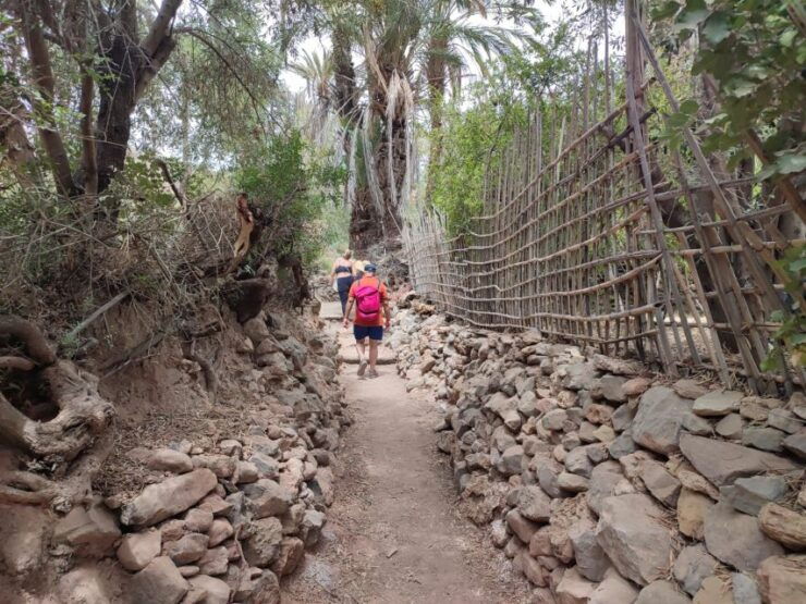 Agadir: Paradise Valley Day Trip and Cooking Class Experienc - Activity Details