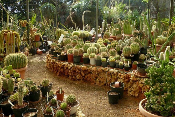 Agadir Paradise Valley Excursion & Breakfast - Cancellation Policy Details