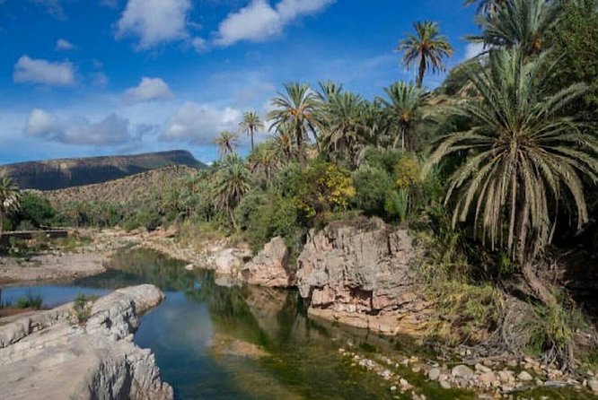 Agadir Paradise Valley Excursion & Breakfast - Pricing and Payment Options
