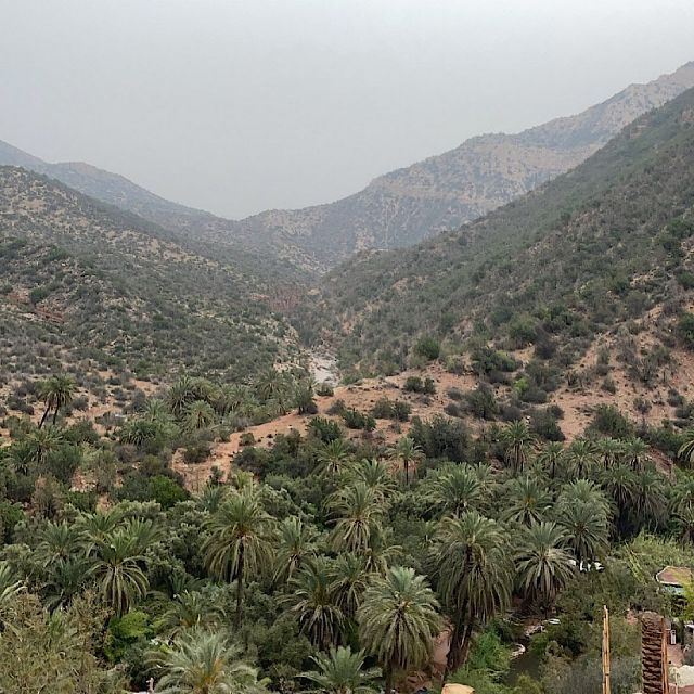 Agadir: Paradise Valley Guided Mountain Tour With Breakfast - Tour Overview