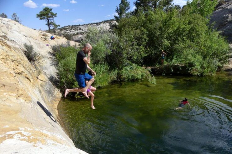 Agadir: Paradise Valley Tour With Swimming and Lunch - Experience Highlights and Activities