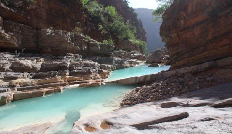 Agadir: Paradise Valley Trip Afternoon Departure - Highlights