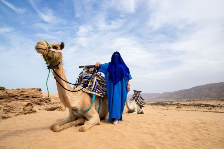 Agadir Private 44 Jeep Safari Desert With Delicious Lunch - Activity Details