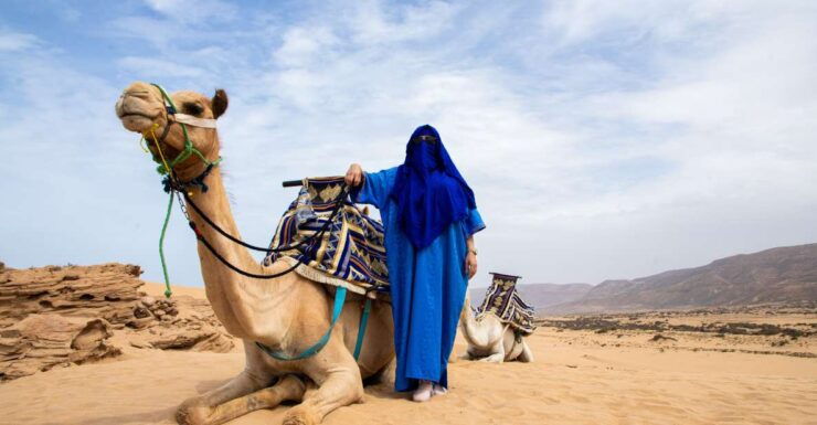 Agadir Private 44 Jeep Safari Desert With Delicious Lunch - Experience Highlights
