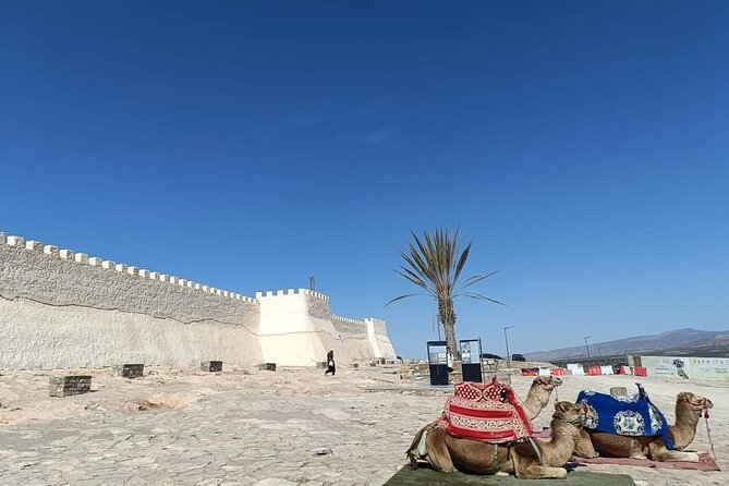 Agadir Private City Tour & Visit of Medina Polizzi - Output: