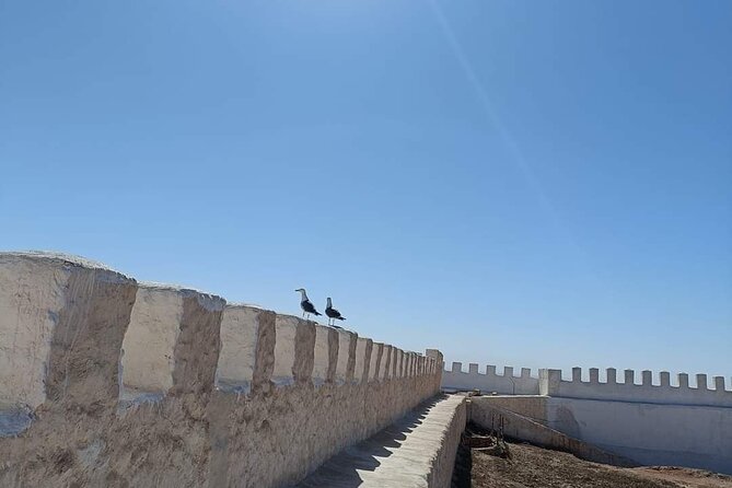 Agadir Private City Tour & Visit of Medina Polizzi - What To Expect